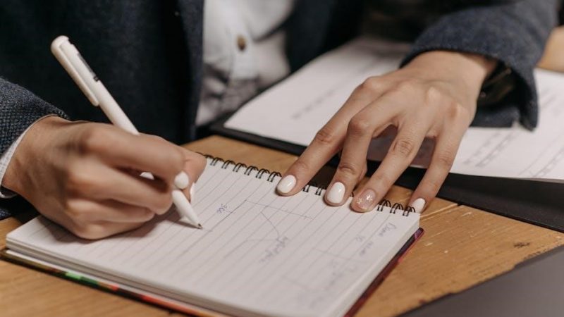 a manual for professional organizers pdf