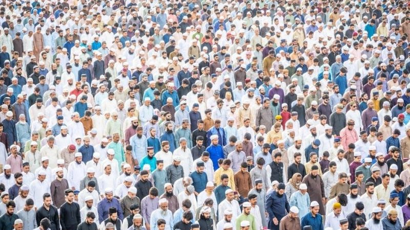 mass spectrograph pdf